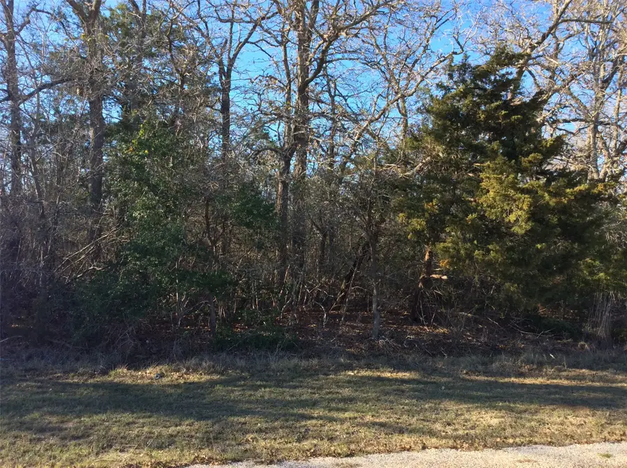 320 Alvina Ulich Street, Somerville, TX 77879 - #3