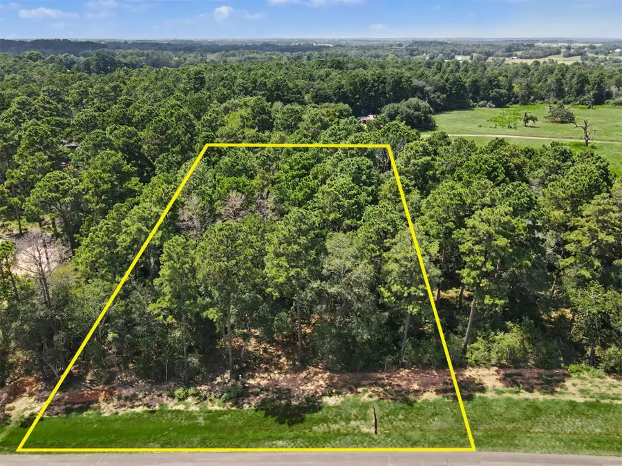 9726 Oakland Park Boulevard, Plantersville, TX 77363 - #2