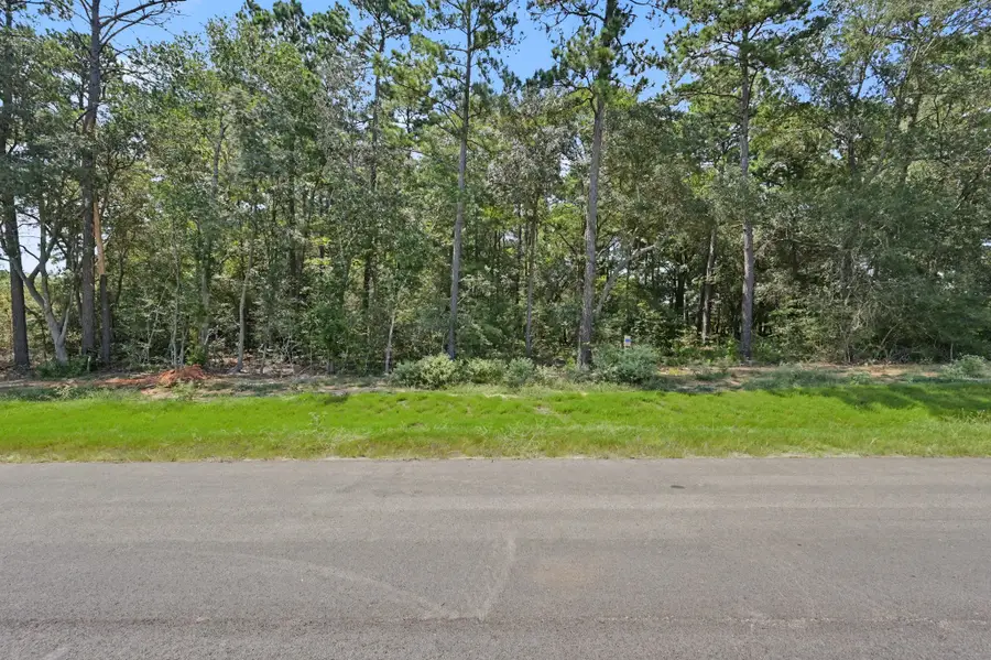9726 Oakland Park Boulevard, Plantersville, TX 77363 - #3