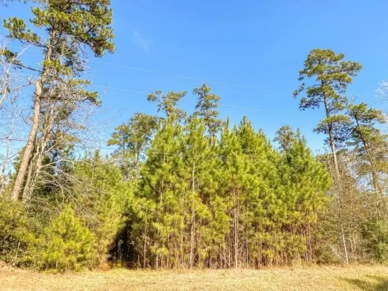 9388 Hwy 105, Cleveland, TX 77327 - #3