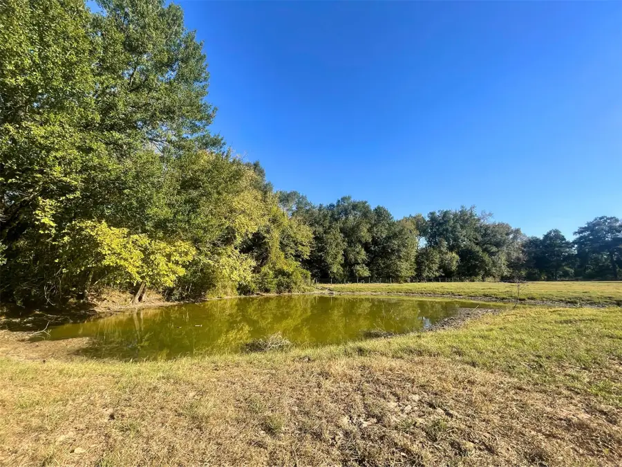 6014 Cr 333, Caldwell, TX 77836 - #2