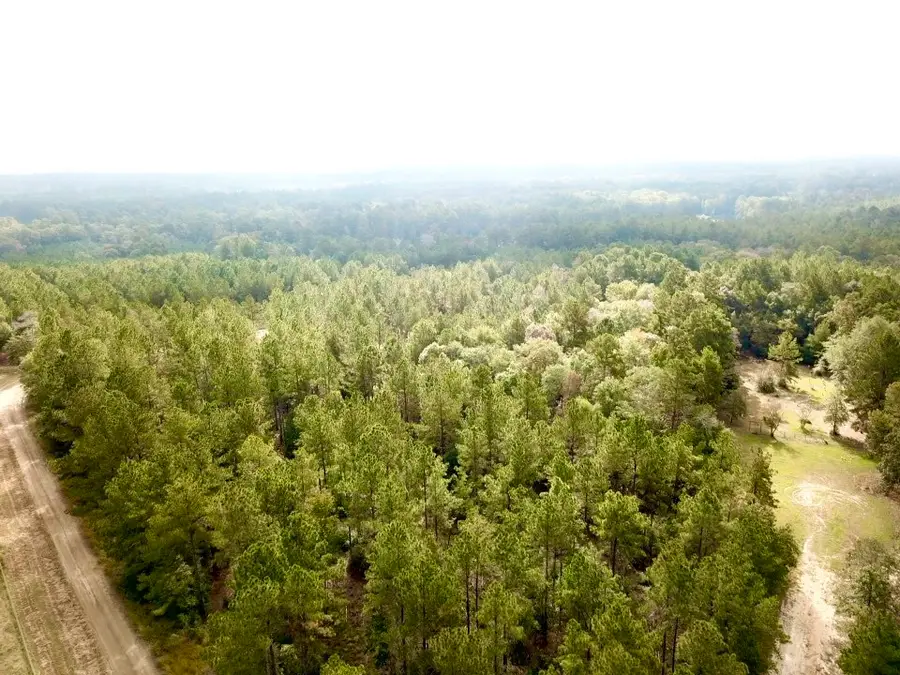 TBD County Road 2310, Woodville, TX 75979 - Image #2