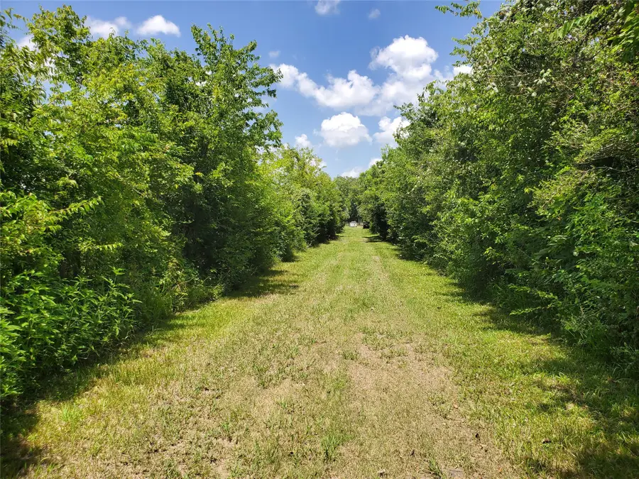 0 County Road 488b, Sweeny, TX 77480 - Image #2