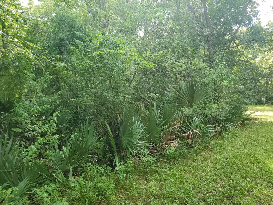 0 County Road 488b, Sweeny, TX 77480 - Image #3