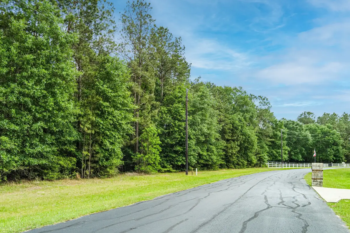 30041 Round Up Drive, Waller, TX 77484 - Image #1