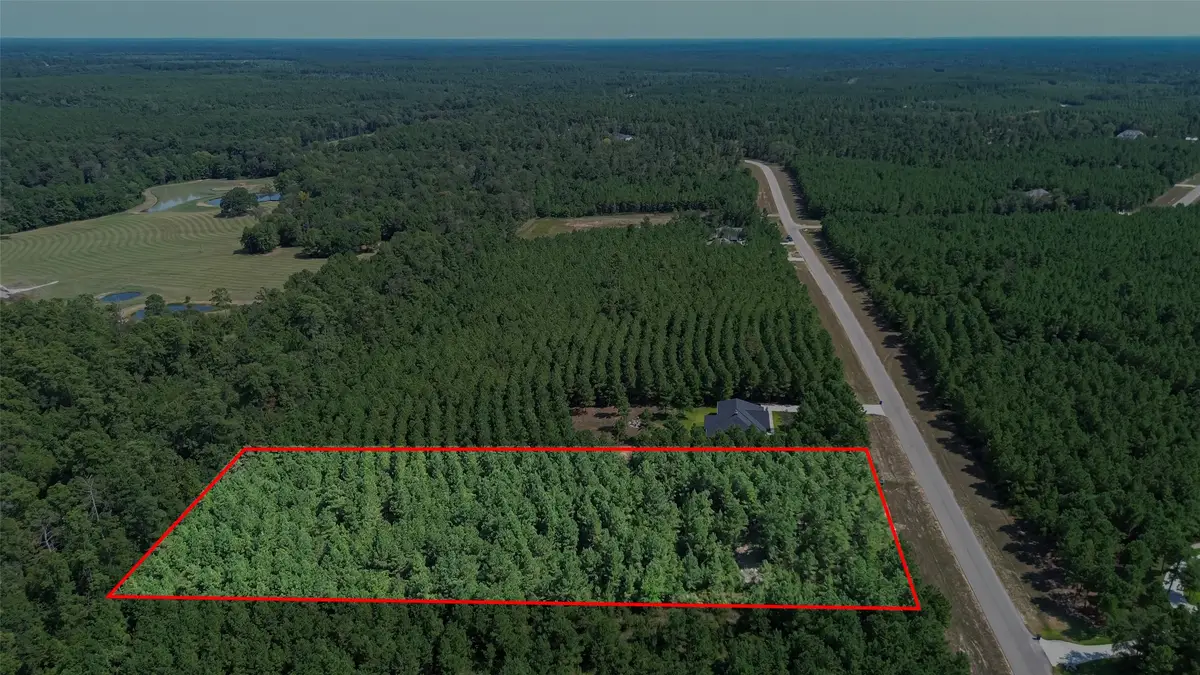 11997 High Branch Way, Willis, TX 77378 - #1