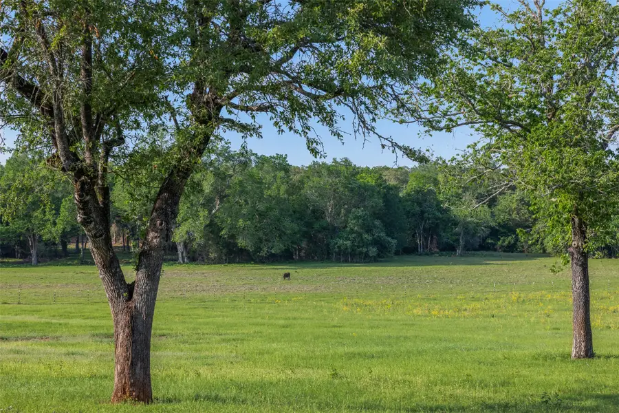 3004 County Road 310, Caldwell, TX 77836 - #2