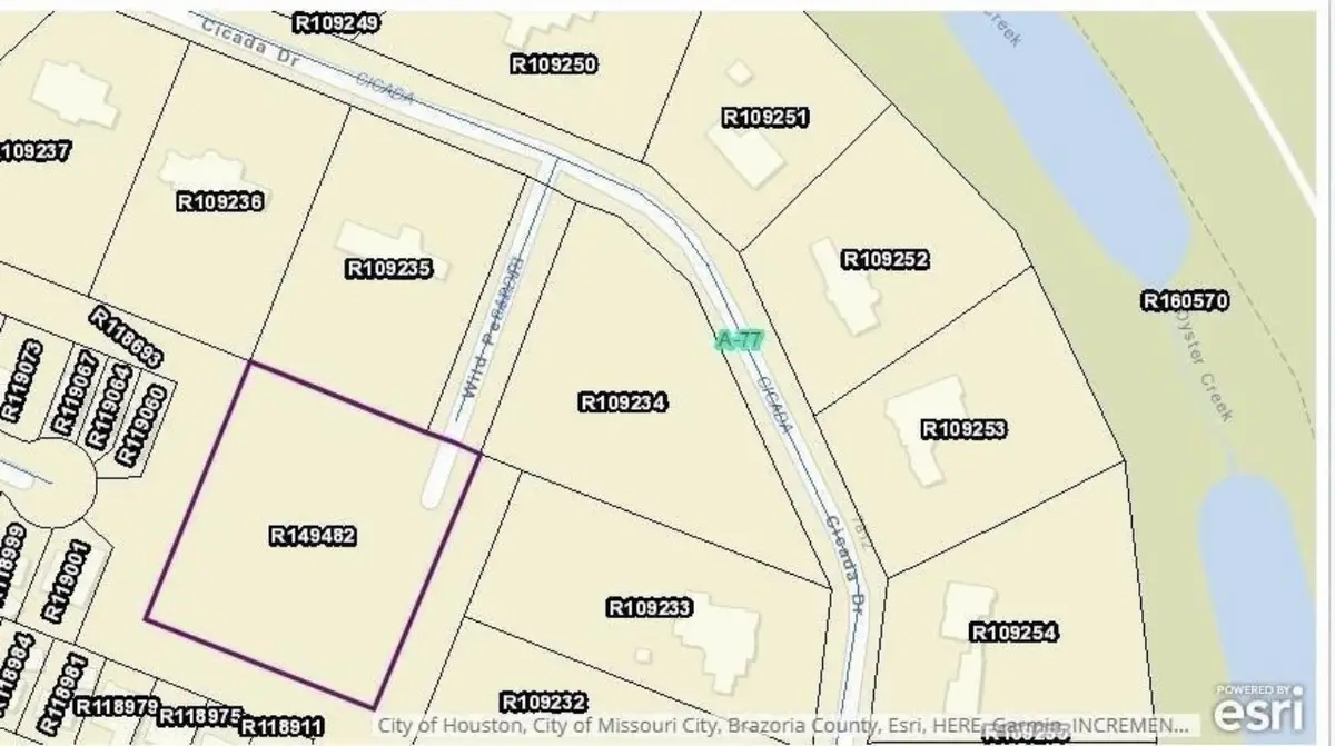 0 Saddle Drive, Missouri City, TX 77459 - Image #1