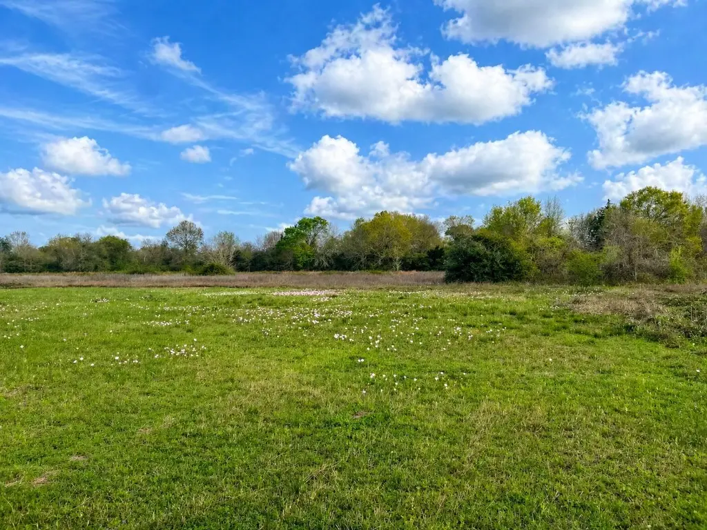 TBD W Fm 1161, Wharton, TX 77488 - #1