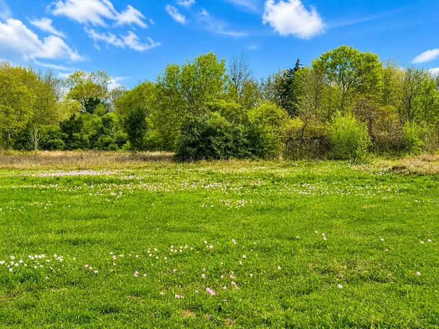 TBD W Fm 1161, Wharton, TX 77488 - #3
