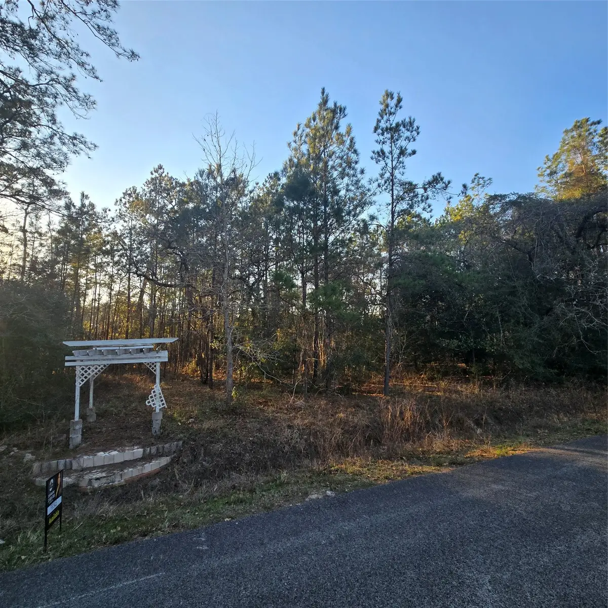 20135 Belleau Wood Drive, Houston, TX 77338 - Image #1