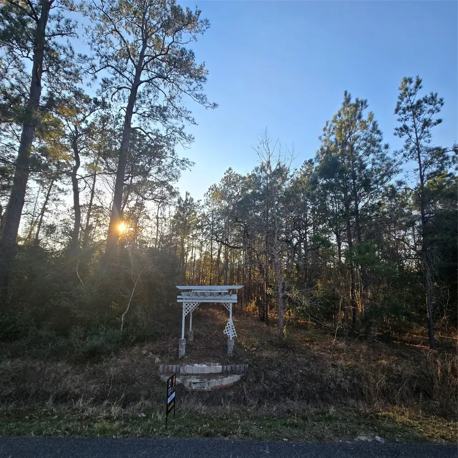 20135 Belleau Wood Drive, Houston, TX 77338 - Image #3