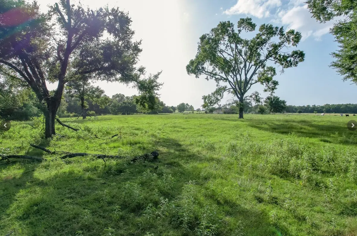 6388 Red Rock Road, Franklin, TX 77856 - #1