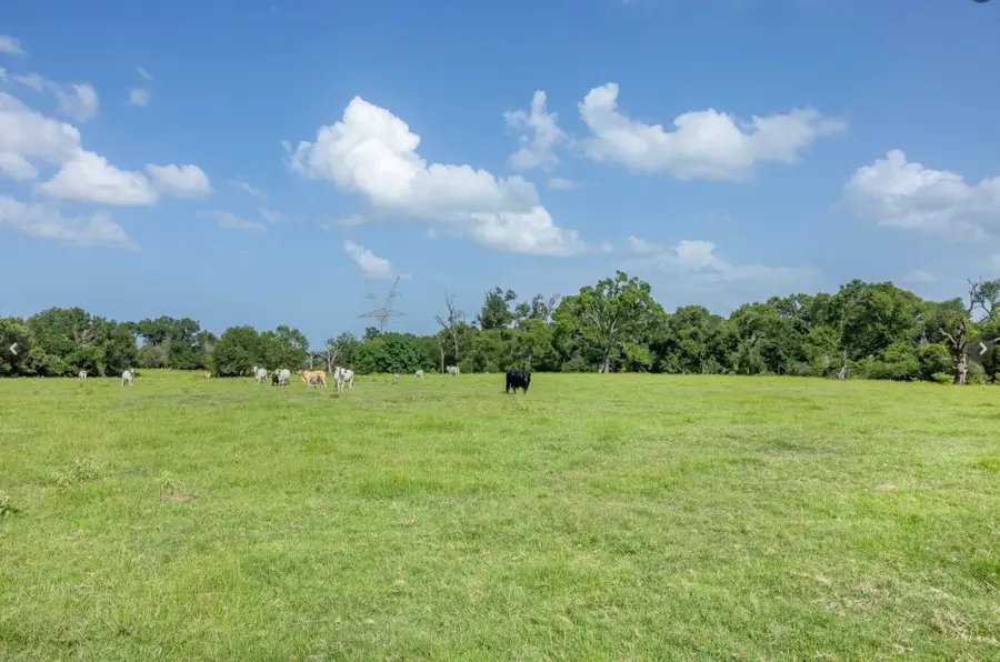 6388 Red Rock Road, Franklin, TX 77856 - #2