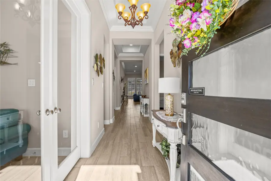 542 Carina Gaze Drive, Conroe, TX 77318 - #3