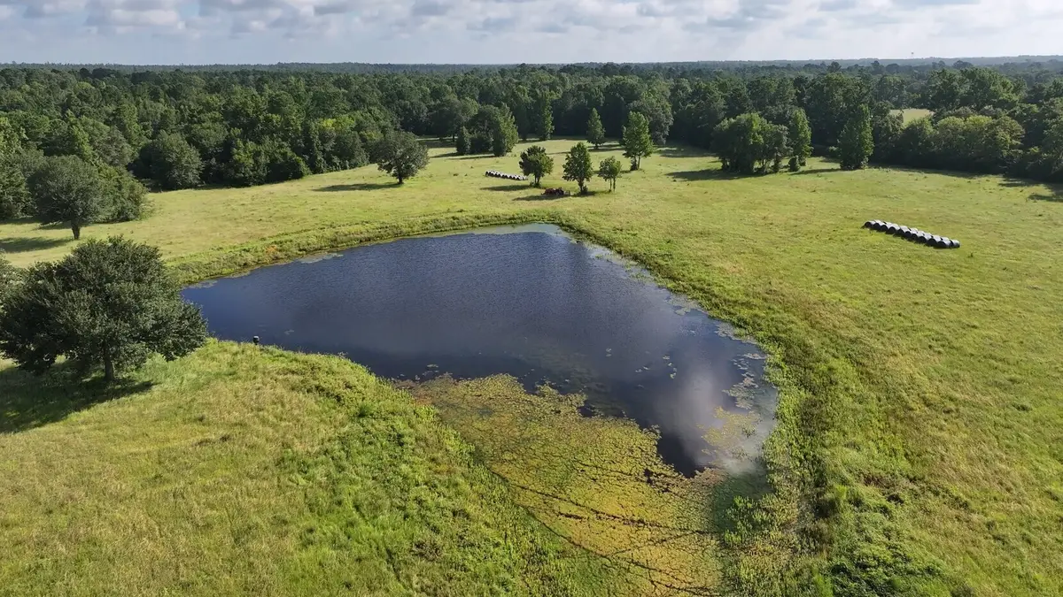 TBD Walker Ln Lane, Huntsville, TX 77320 - Image #1