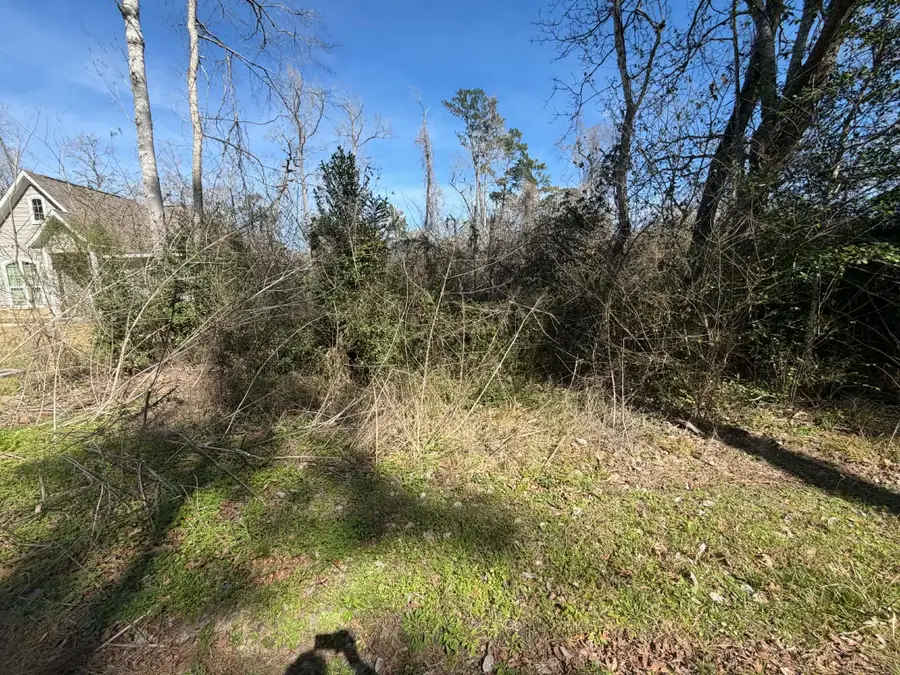 2A Hanover Lane, Conroe, TX 77304 - #2