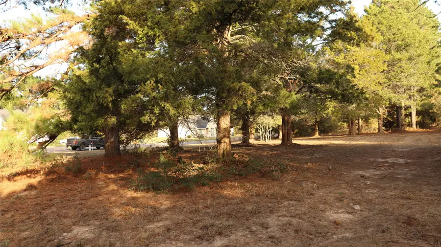 Lot 26 Doral Drive, New Ulm, TX 78950 - Image #3