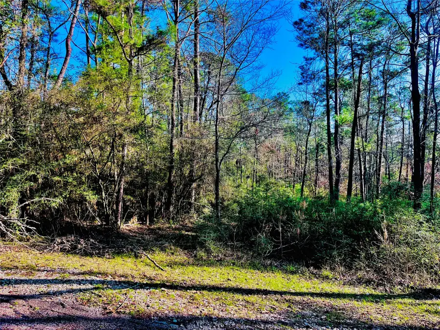 23 Wentworth Ln, Coldspring, TX 77331 - Image #2