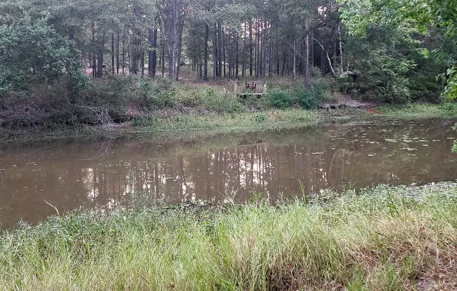 200 Laurel, Onalaska, TX 77360 - #2