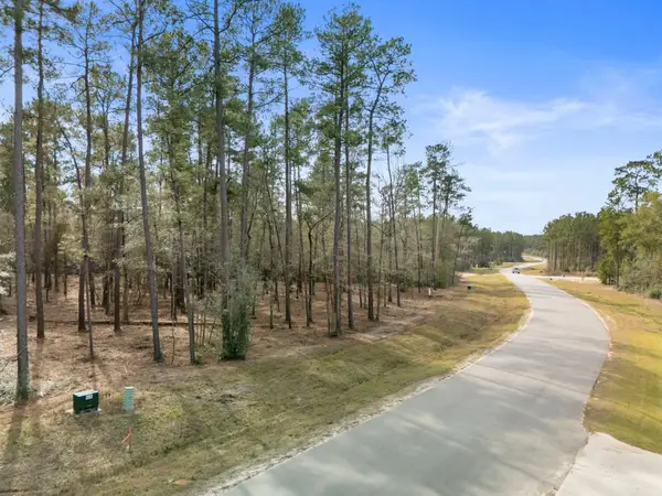 15880 Four Hills Road, Willis, TX 77378