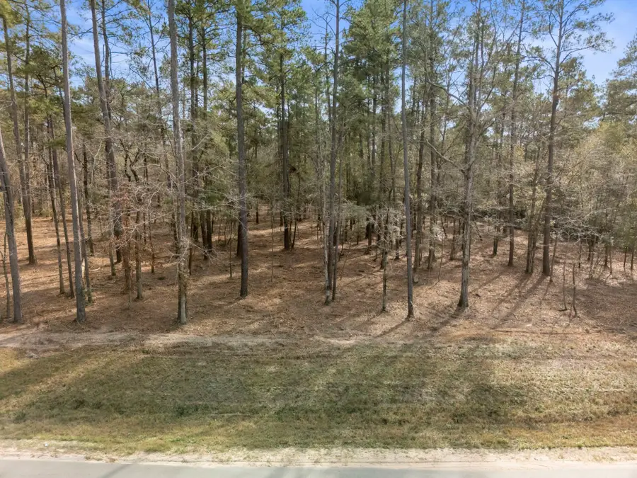 15880 Four Hills Road, Willis, TX 77378 - Image #3