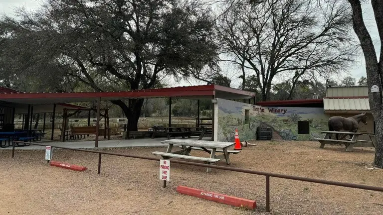 101 County Road 257, Liberty Hill, TX 78642 - Image #2