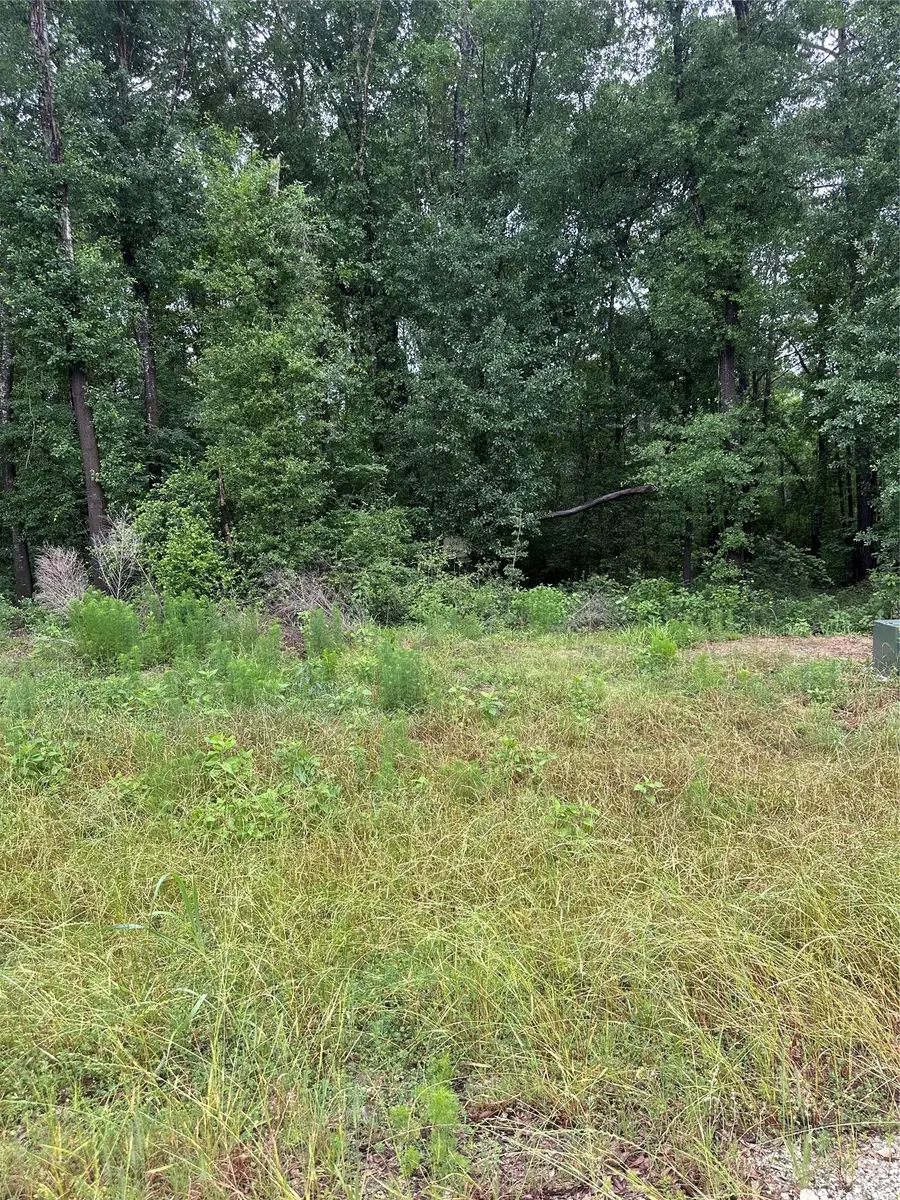 149 Hollow Hill Drive, New Waverly, TX 77340 - #3