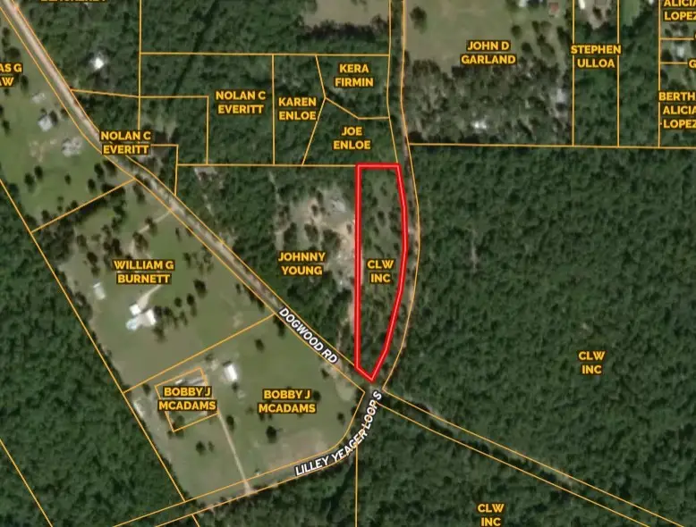 TBD Lilley Yeager Loop N, Shepherd Evergreen, TX 77328 - #1