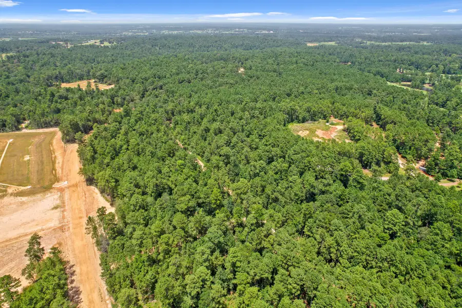 4017 Augusta Drive, Montgomery, TX 77316 - #3