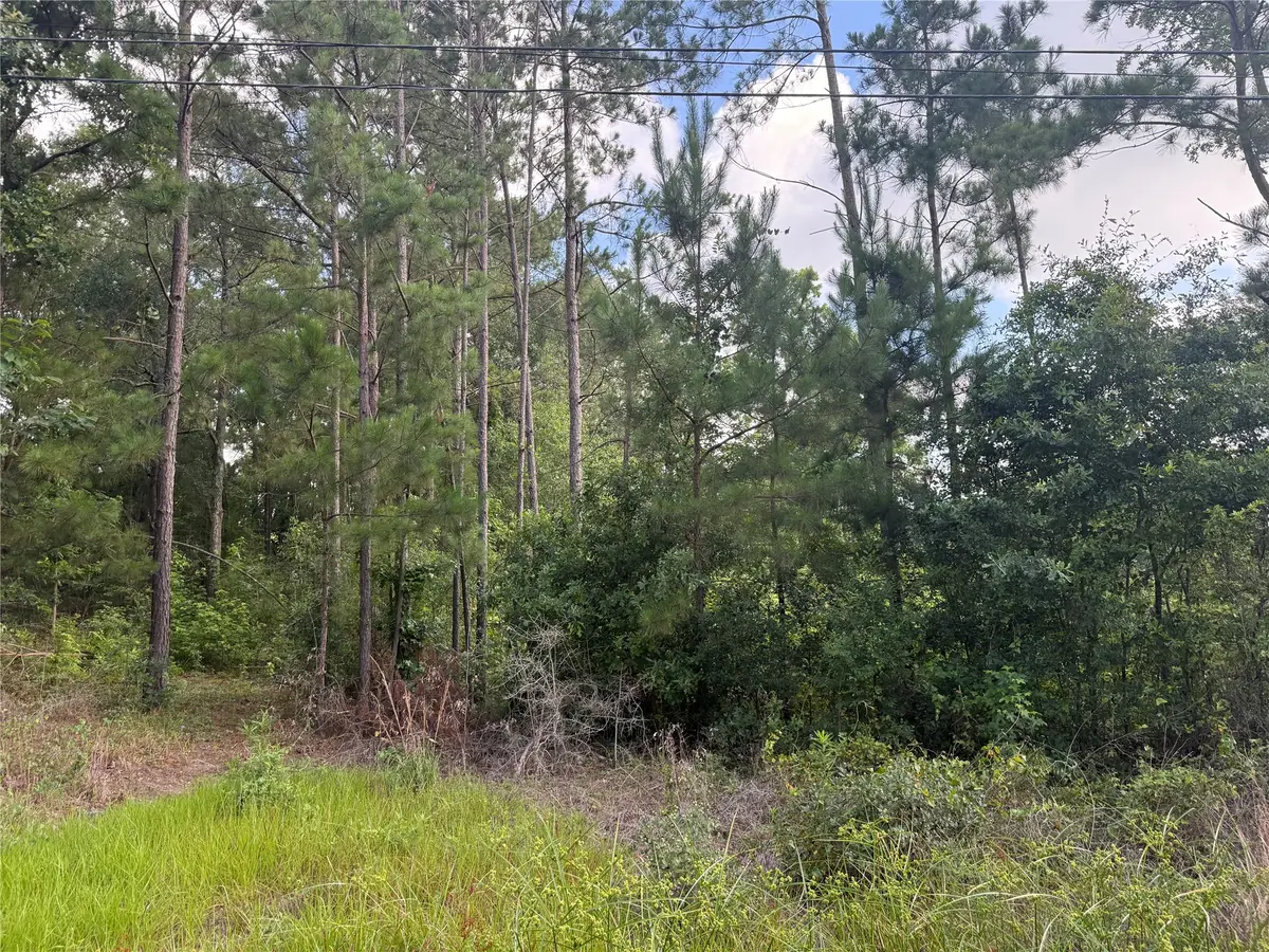 3555 Hickock Lane, Willis, TX 77378 - #1