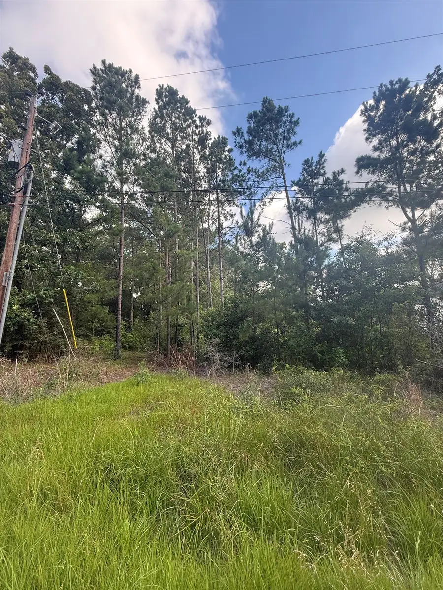 3555 Hickock Lane, Willis, TX 77378 - #3