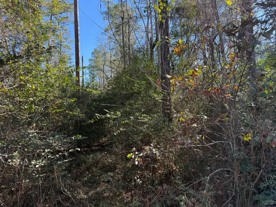 0 Shady Lane, Huffman, TX 77336 - Image #2