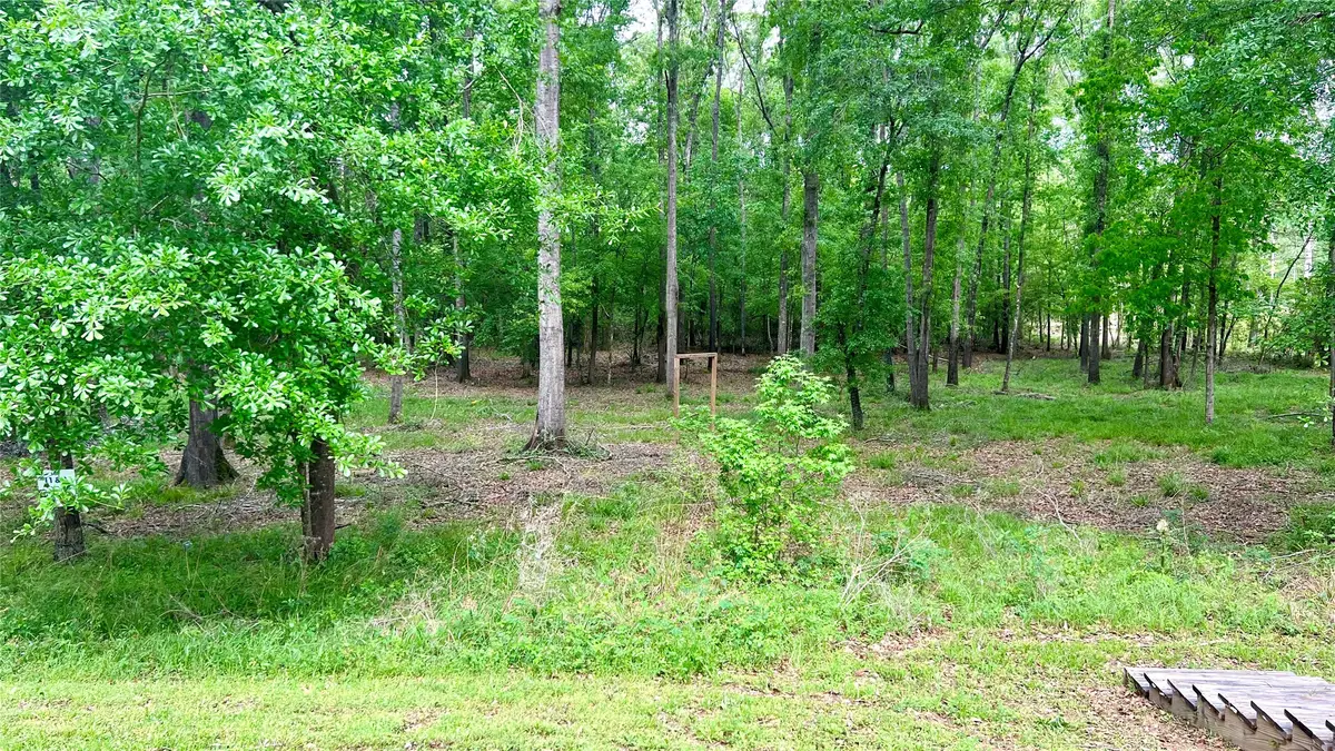 TBD Eastgate Park, Livingston, TX 77351 - #1