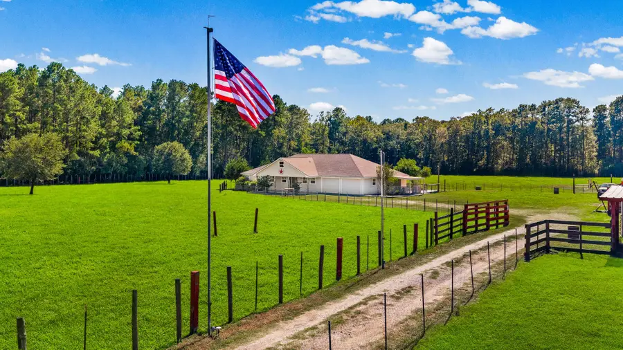 245 Alabama Point, Livingston, TX 77351 - #2