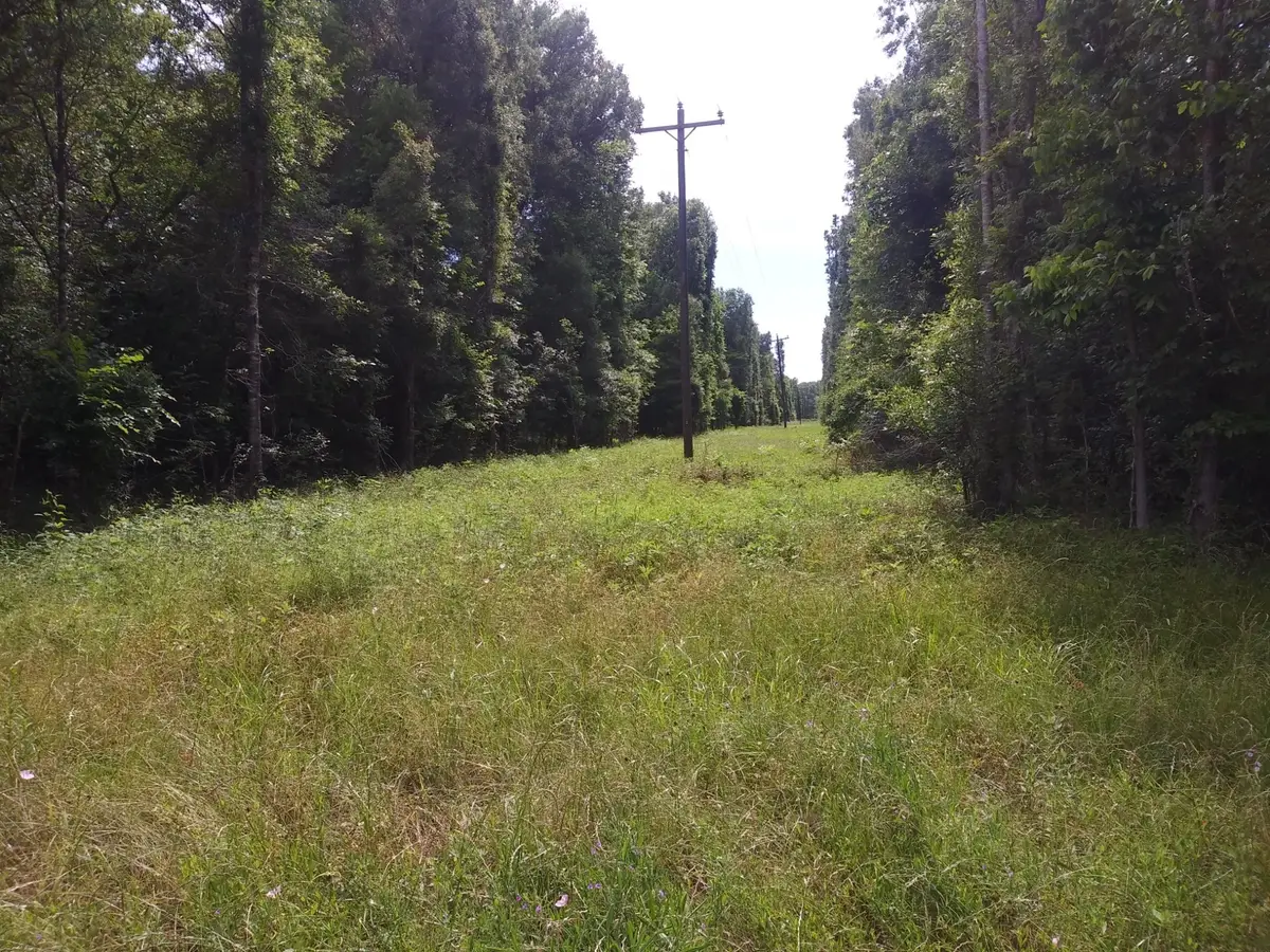 TBD County Road 2853, Cleveland, TX 77327 - Image #1