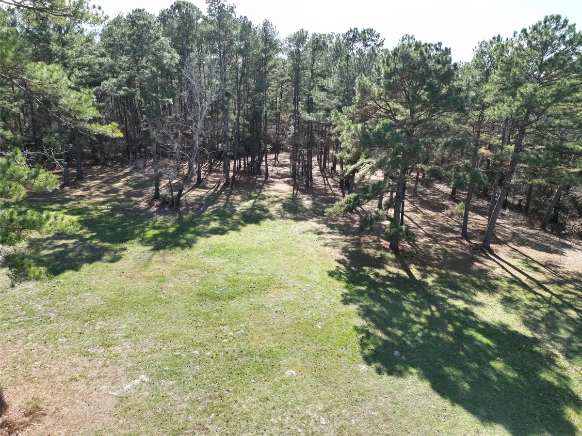 4542 Evergreen Forest Lane, Navasota, TX 77868 - Image #1