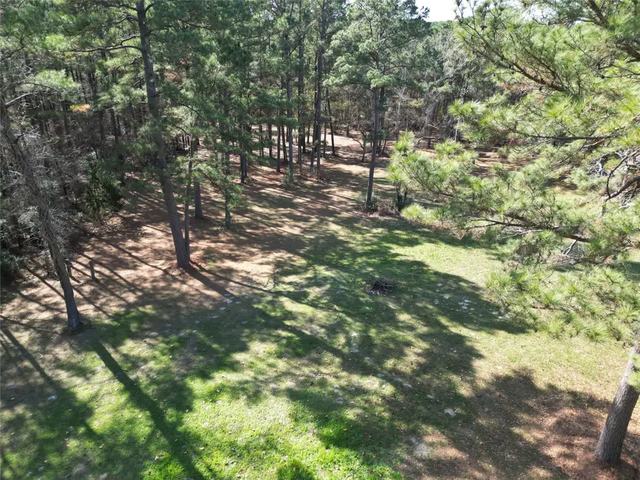 4542 Evergreen Forest Lane, Navasota, TX 77868 - Image #2