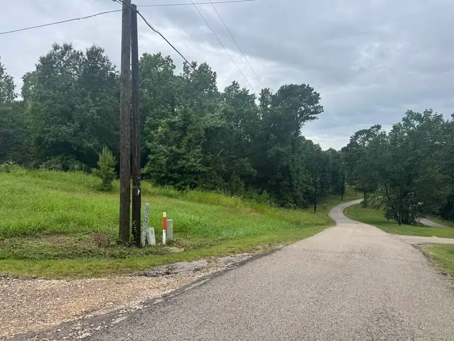 TBD Holiday Boulevard, Coldspring, TX 77331 - #3