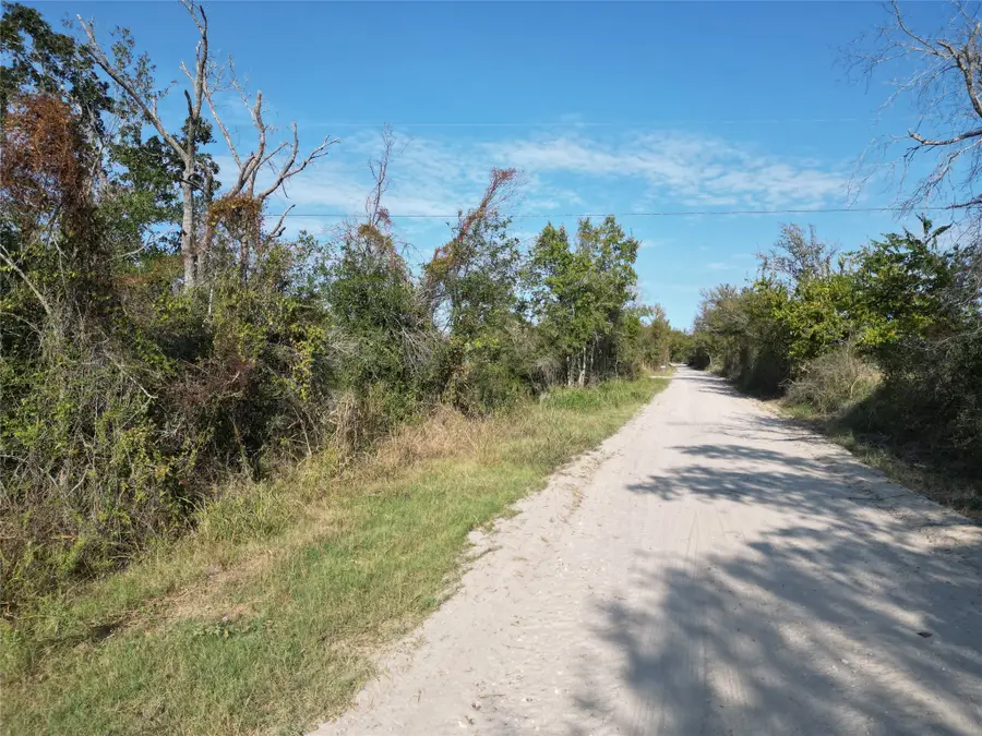 8 Acres County Road 229, Bedias, TX 77831 - Image #3