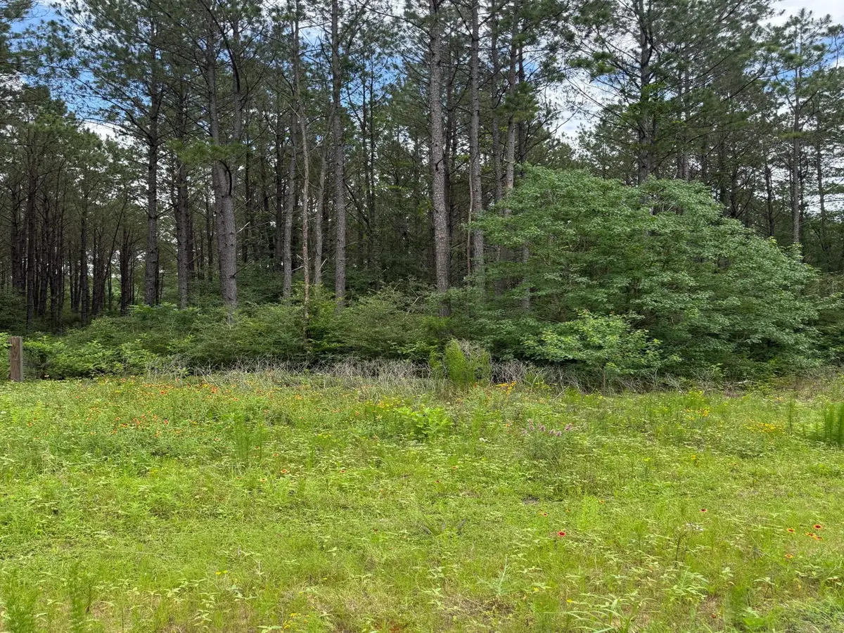 170 Larkspur Lane, New Waverly, TX 77358 - #1