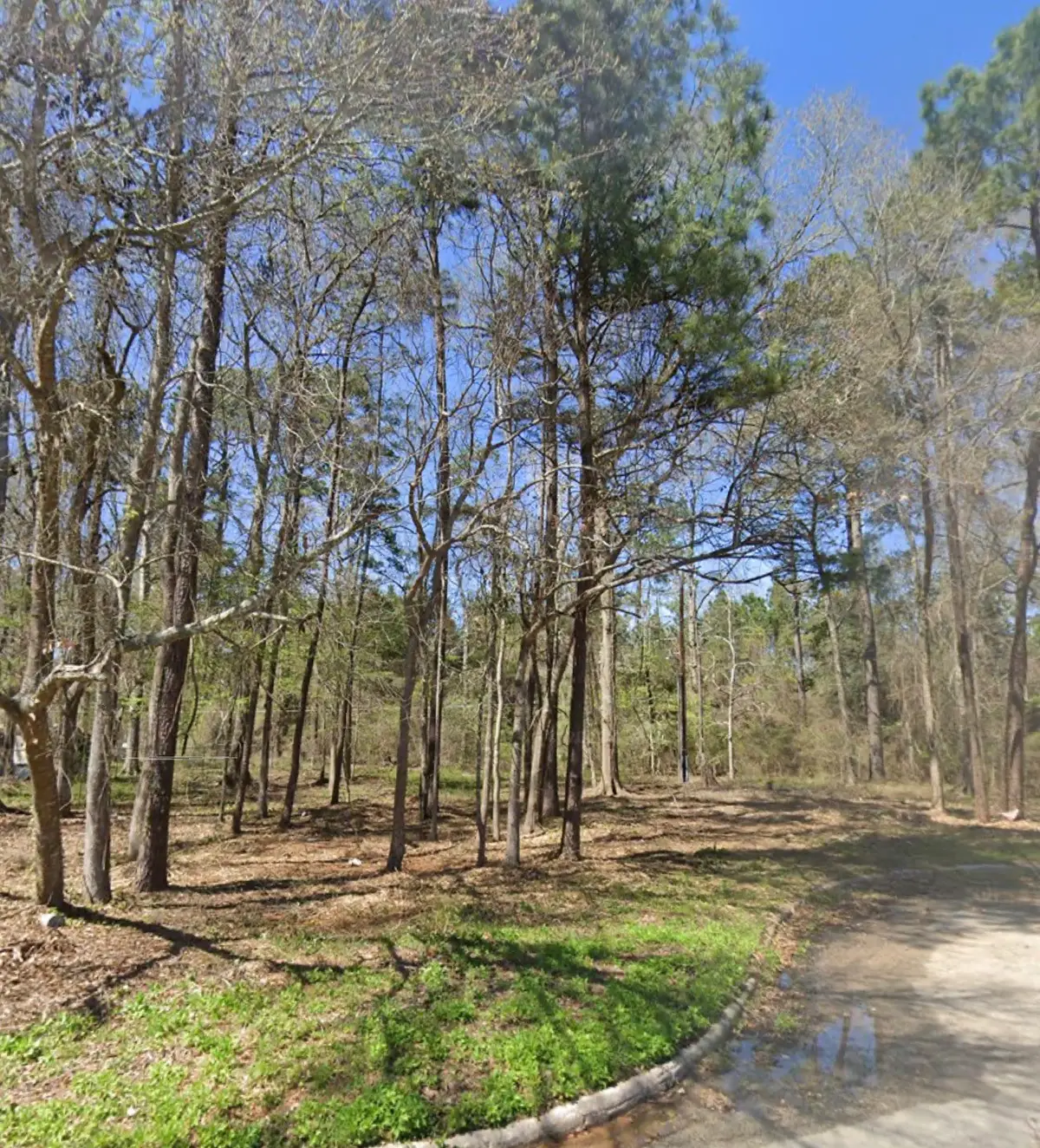 25785 Tupelo Circle, Splendora, TX 77372 - Image #1