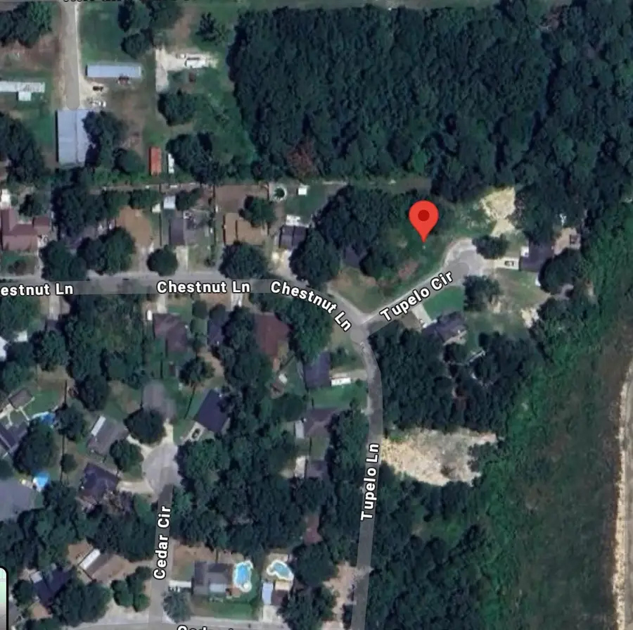 25785 Tupelo Circle, Splendora, TX 77372 - Image #3