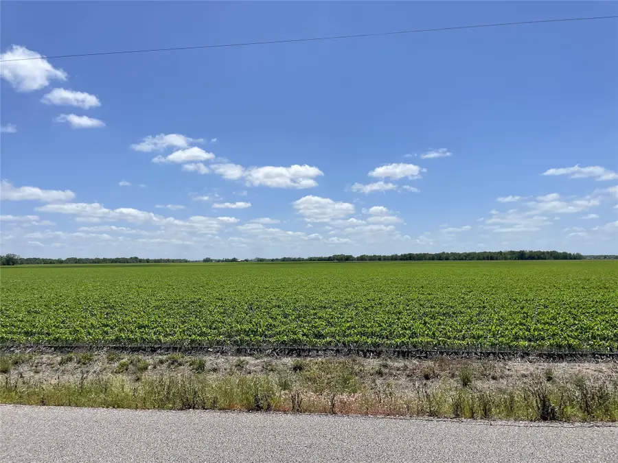 0 Schultz Road, Damon, TX 77430 - Image #3