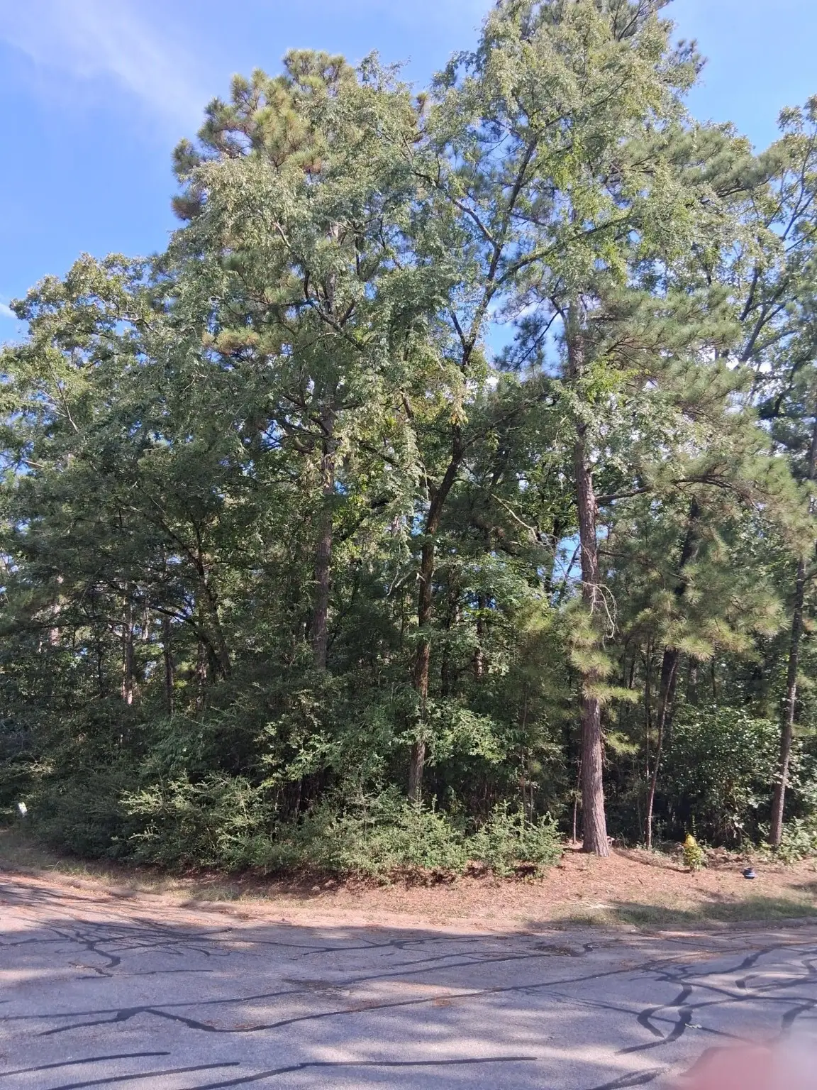 TBD Rantoul, Huntsville, TX 77320 - Image #1