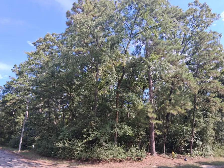 TBD Rantoul, Huntsville, TX 77320 - Image #2