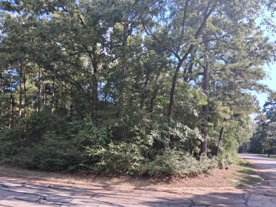 TBD Rantoul, Huntsville, TX 77320 - Image #3