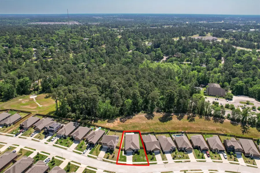 954 Golden Willow Lane, Conroe, TX 77304 - #2