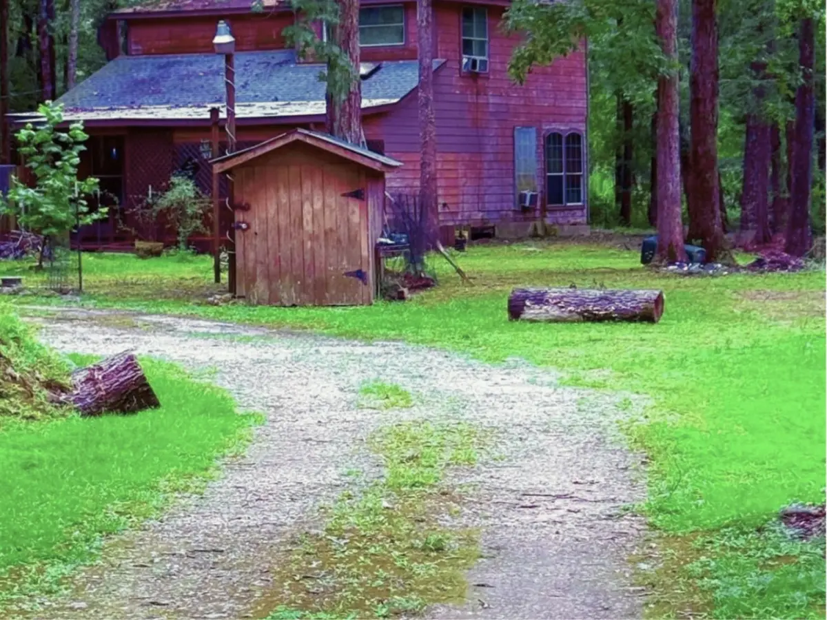 341 Pine Valley Drive, Shepherd, TX 77371 - Image #1