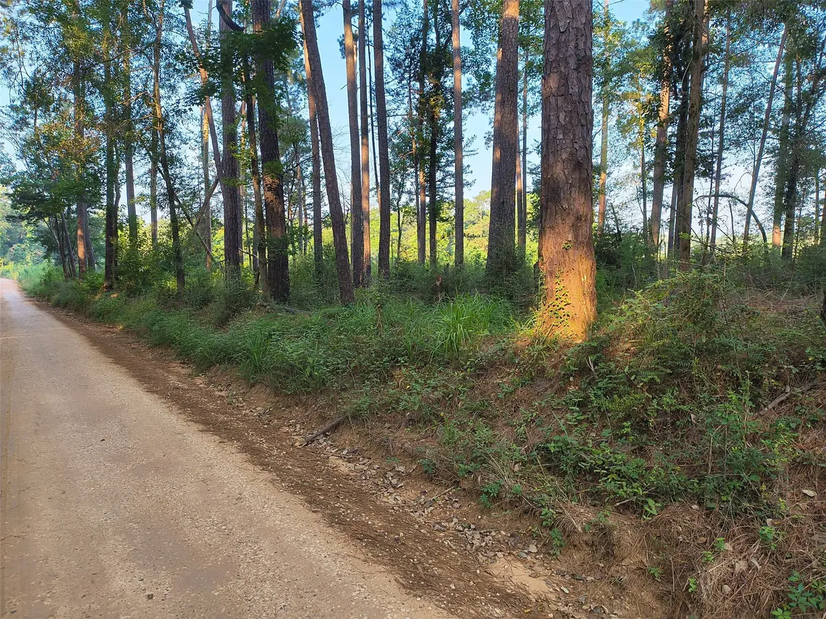 tbd County Line Road, Livingston, TX 77351 - #1